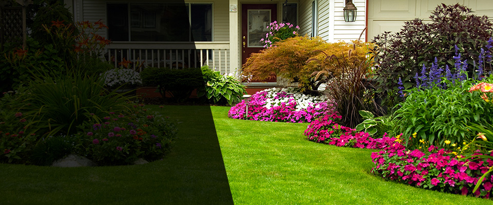 Lake View Landscapers
